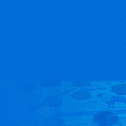 Nepal Life Insurance