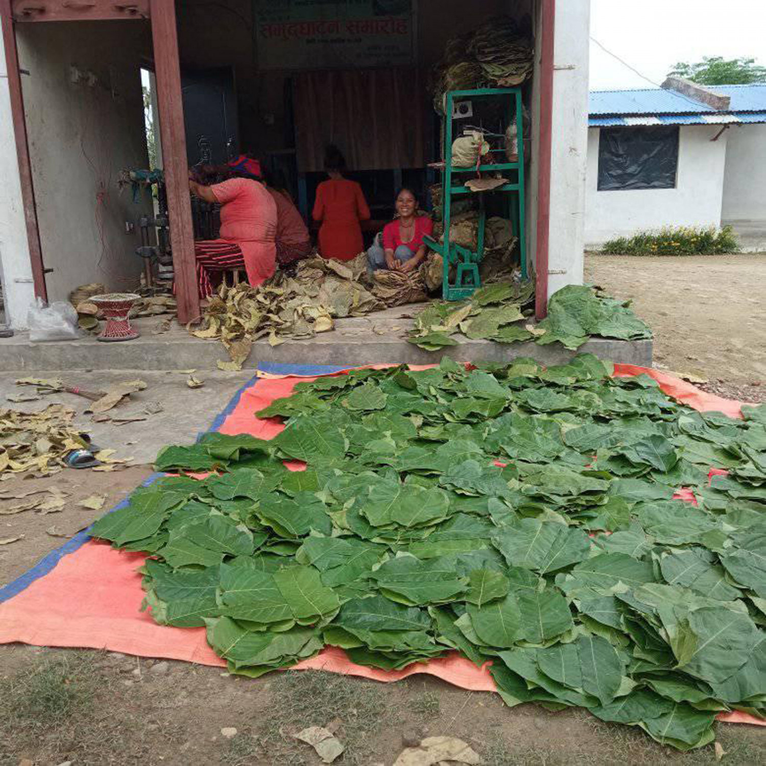 दुनाटपरी बेचेरै मासिक १० हजार आम्दानी गर्दै बन्जरियाका महिला