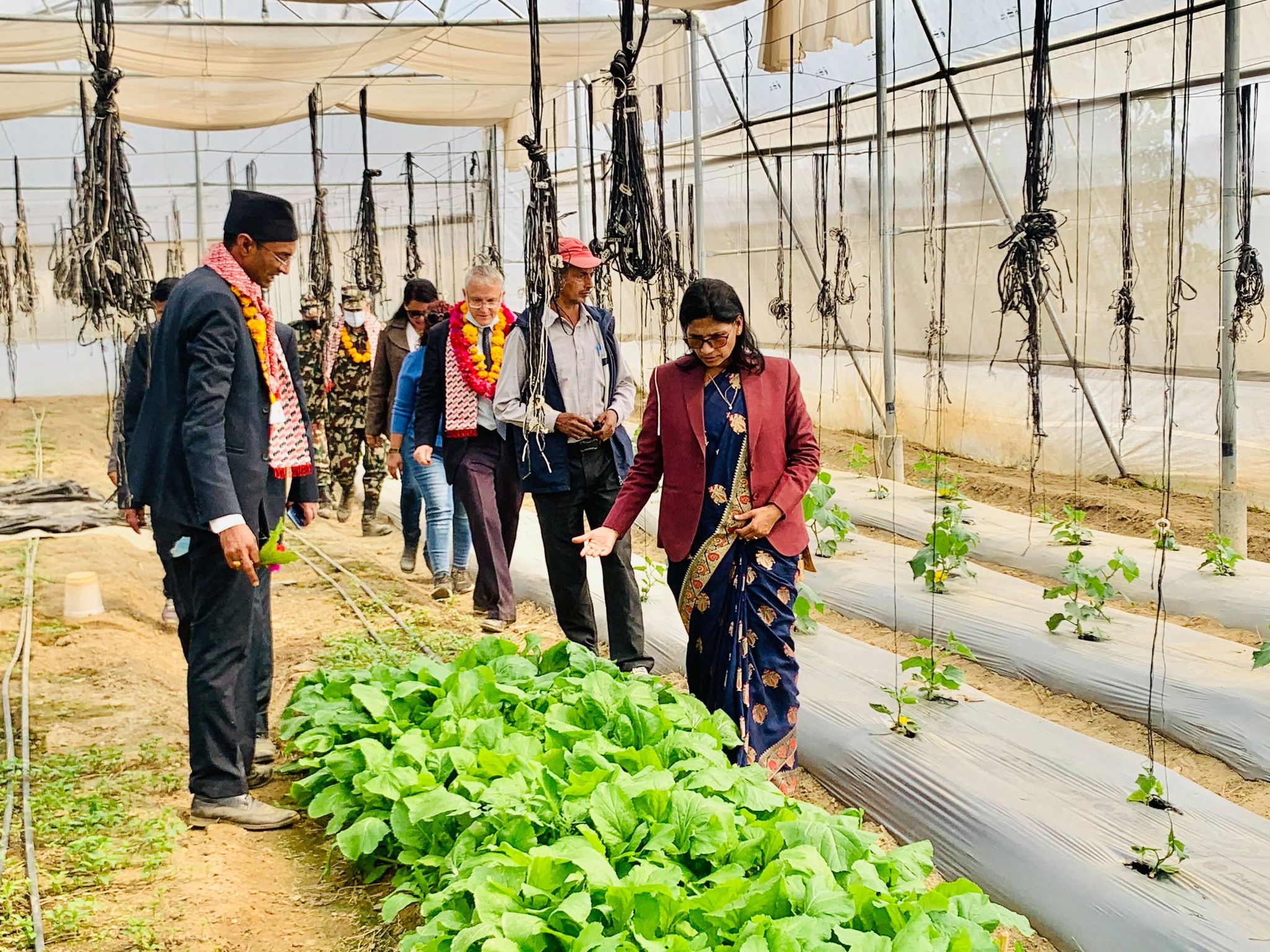 ‘इजरायली कृषि प्रविधि सातै प्रदेशमा भित्र्याउँछौ’–कृषि मन्त्री अर्याल 