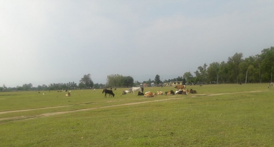 कञ्चनपुरको मझगाउँ विमानस्थल पुनः निर्माण थालिने