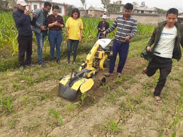 यान्त्रीकरणमा दाङको मकै सुपरजोन, बीउ छर्नेदेखि छोडाउनेसम्म मेसिनकै प्रयोग