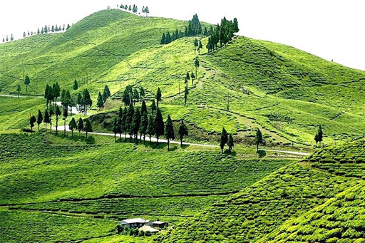 पर्यटक नहुदा इलामको होमस्टे र होटल सुनसान