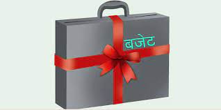 मनाङको नार्पाभूमि गाउँपालिकाकाे १८ करोड ५१ लाखको बजेट