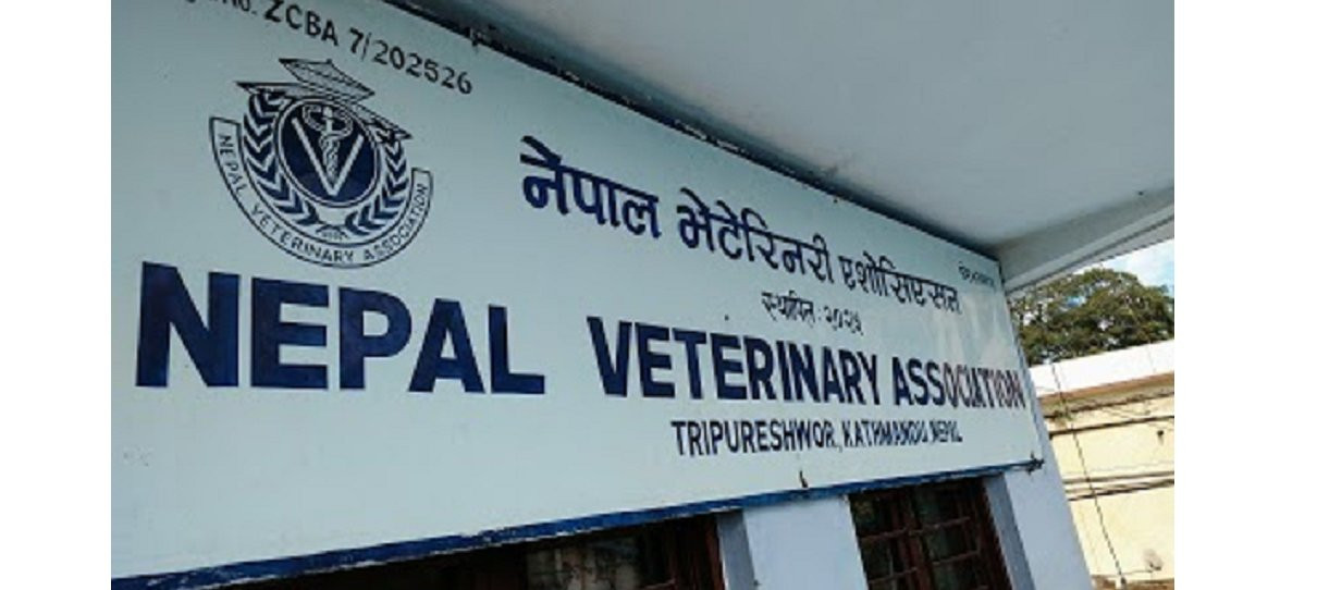 नेपाल भेटेरिनरी एसोसिएसनले सुरु गर्यो पशुपन्छीपालक कृषकहरुलाई हटलाइन सेवा 