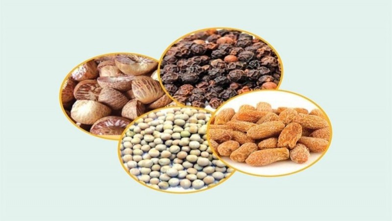 सेटिङमा आयात गर्न दिएको केराउ, सुपारी, छोकडा र मरीच कोलकात्ता आइपुग्यो  