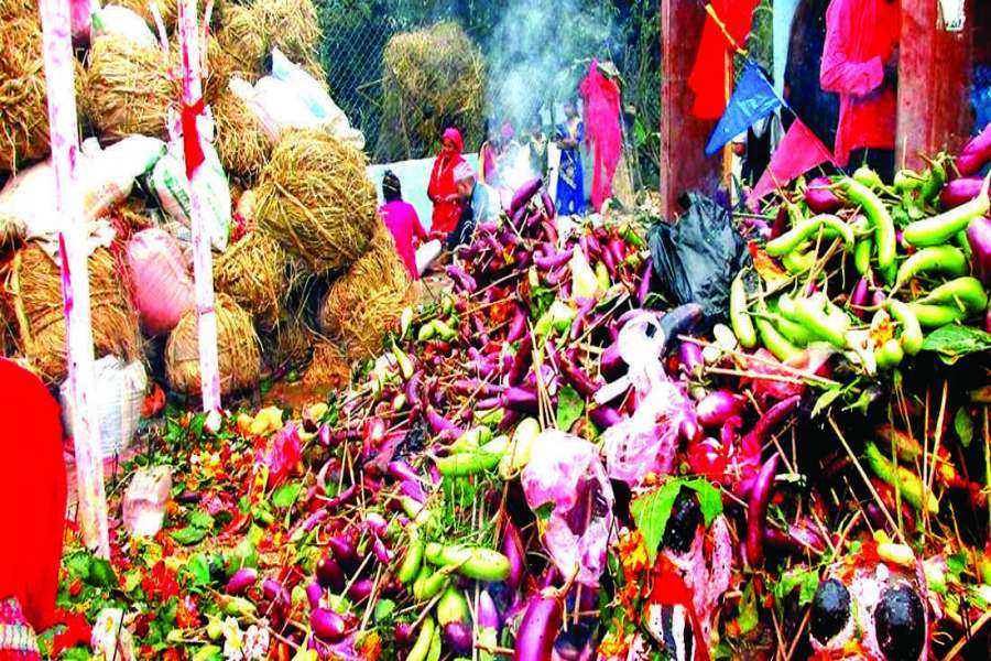 महाशिवरात्रि पर्वः भन्टाको भार बेचेरै मनग्गे आम्दानी  