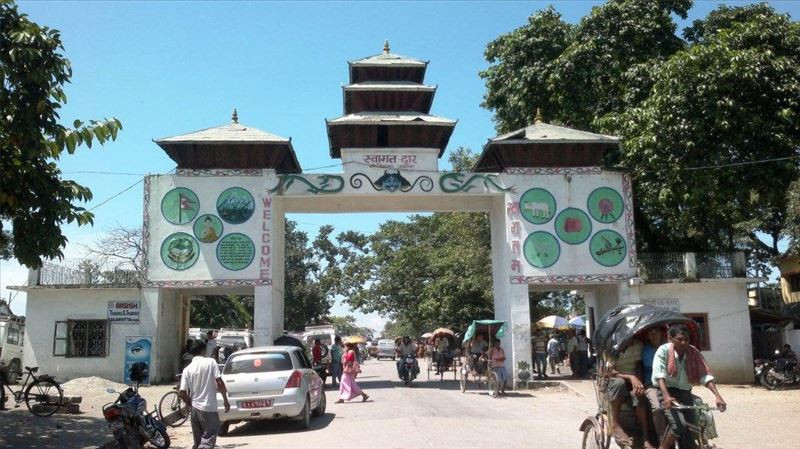 पूर्वी नाका काँकडभिट्टाबाट कृषिजन्य वस्तुको आयात बढ्यो, निर्यात घट्यो
