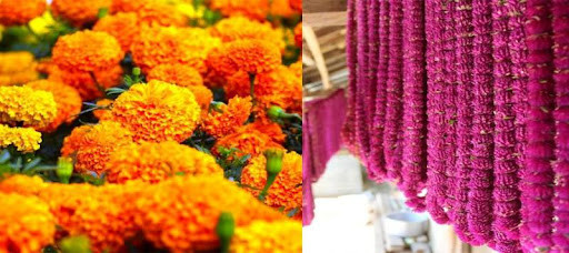 तिहारलाई ५० हजारभन्दा बढी सयपत्री फूलको माला आयात हुँदै