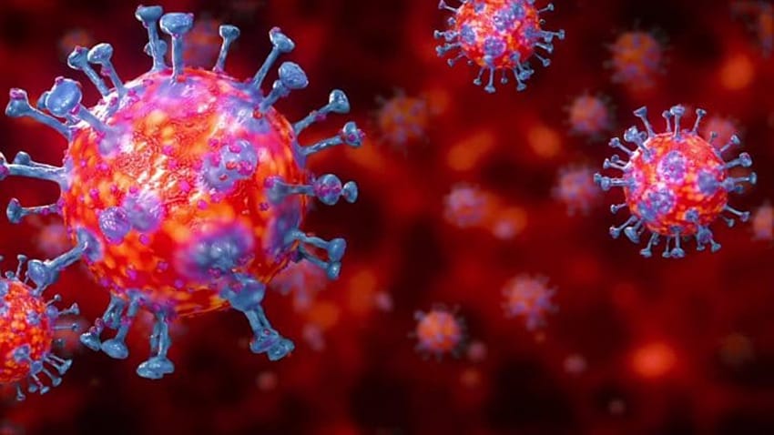 भारतमा कोरोना भाइरस संक्रमित र मृतकको संख्या बढ्दै