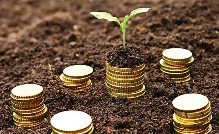 लघुवित्तको डुब्लिकेशन हटाउन प्रक्रिया सुरु  