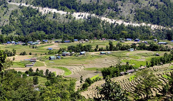 पर्याप्त वर्षा नहुँदा अधिकांश खेत बाँझै