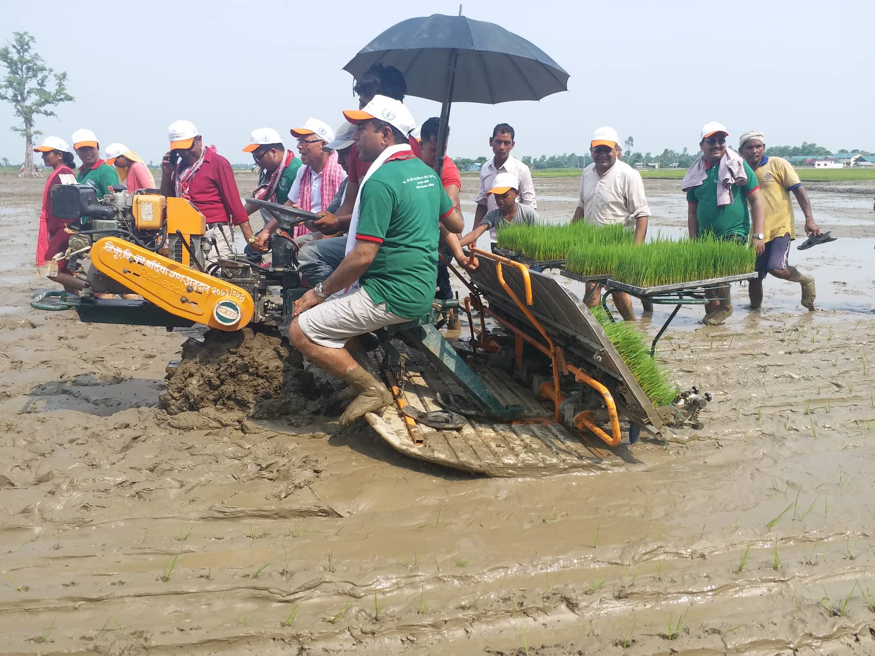 धान रोप्न बर्दियाको राजापुर पुगे कृषिमन्त्री (फोटो फिचर)