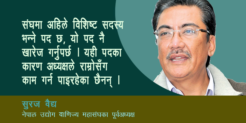 विधान संशोेधन हुन्छ, तर अहिलेलाई वरिष्ठ उपाध्यक्ष नै अध्यक्ष