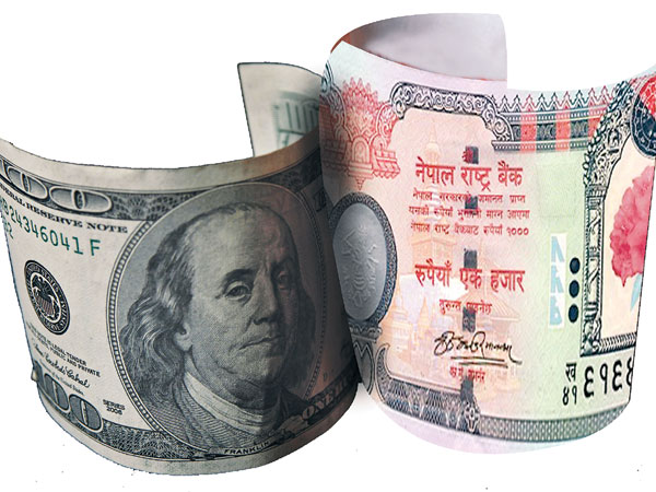 बलियो बन्दै अमेरिकी डलर, १ महिनामै नेपाली रुपैयाँ ३.७ प्रतिशत कमजोर 