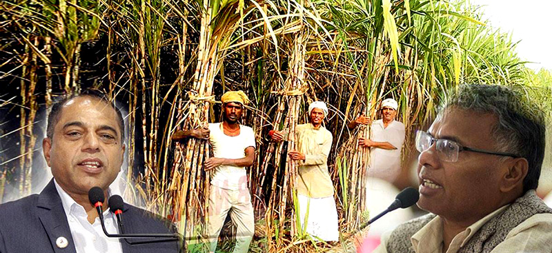 किसानको गुनासो: ‘चिनी उद्योगीले सधैं झुक्याए, सरकारले अहिले झुक्याउँदै छ’