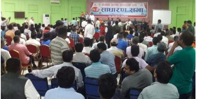 अण्डा उत्पादक सङ्घको अध्यक्षमा पुनः केसी