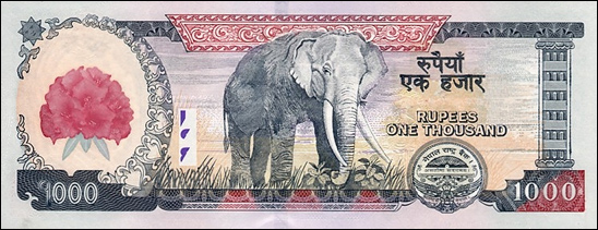 राष्ट्र बैंकले दियो चिनियाँ कम्पनीलाई नोट छाप्ने जिम्मा, १ हजार दरका ३१ करोड थान  छाप्ने