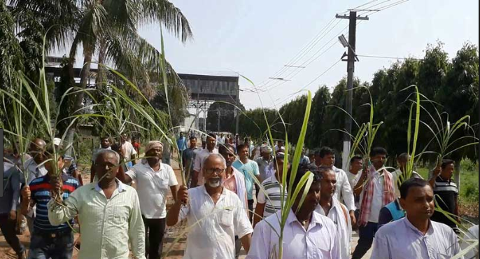 चिनी उद्याेगीले सवाँ अर्ब भुक्तानी दिएनन्, अनुदान नदिएर सरकारबाटै ठगिए उखु किसान