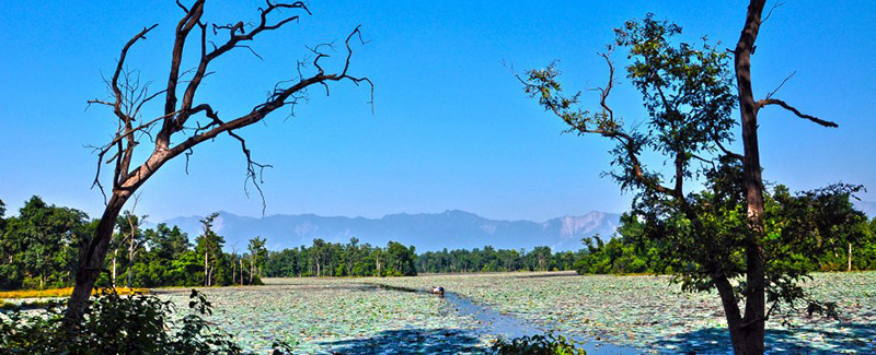अतिक्रमणको जोखिममा घोडाघोडी ताल