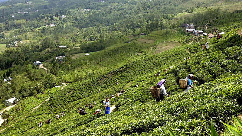 इलाममा एक रुपैयाँमा पर्यटकलाई बास