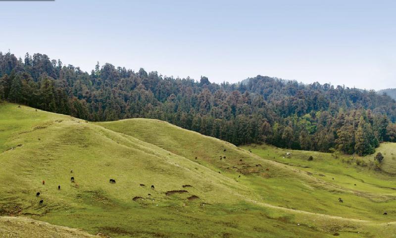 ‘भू–स्वर्ग’ खप्तड चिनाउन स्थानीयवासी सक्रिय