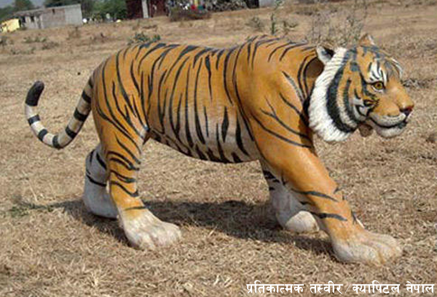 पर्यटक आकर्षित गर्न बाघको मूर्ति
