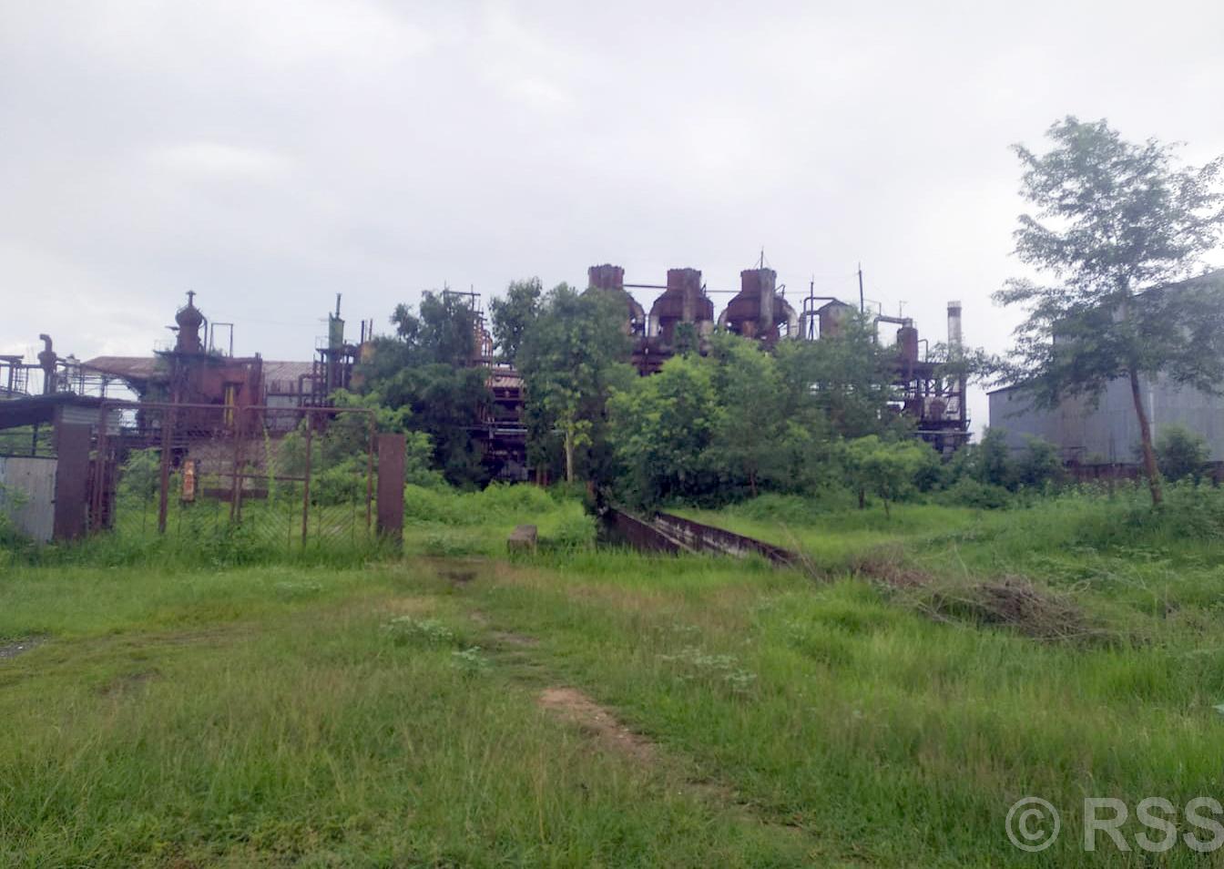 बासुलिङ सुगर मिल पुनः सञ्चालनको तयारी, भारतीय कम्पनीले १० अर्ब लगानी गर्ने 