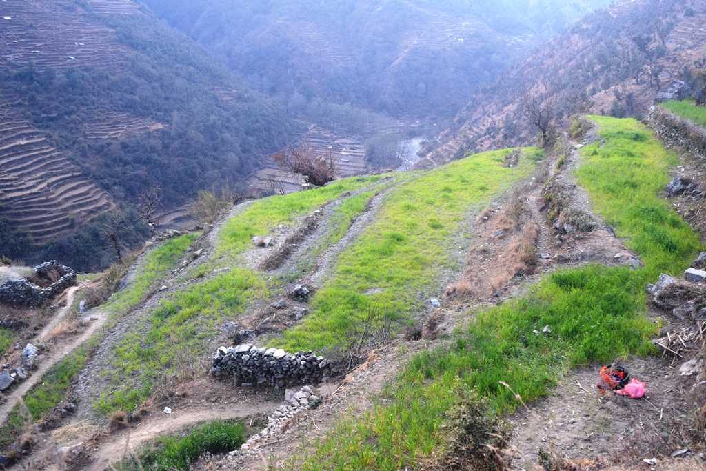 हिमाली क्षेत्रमा हिमपात र वर्षा नहुँदा हिउँदेबाली सुक्न थाले