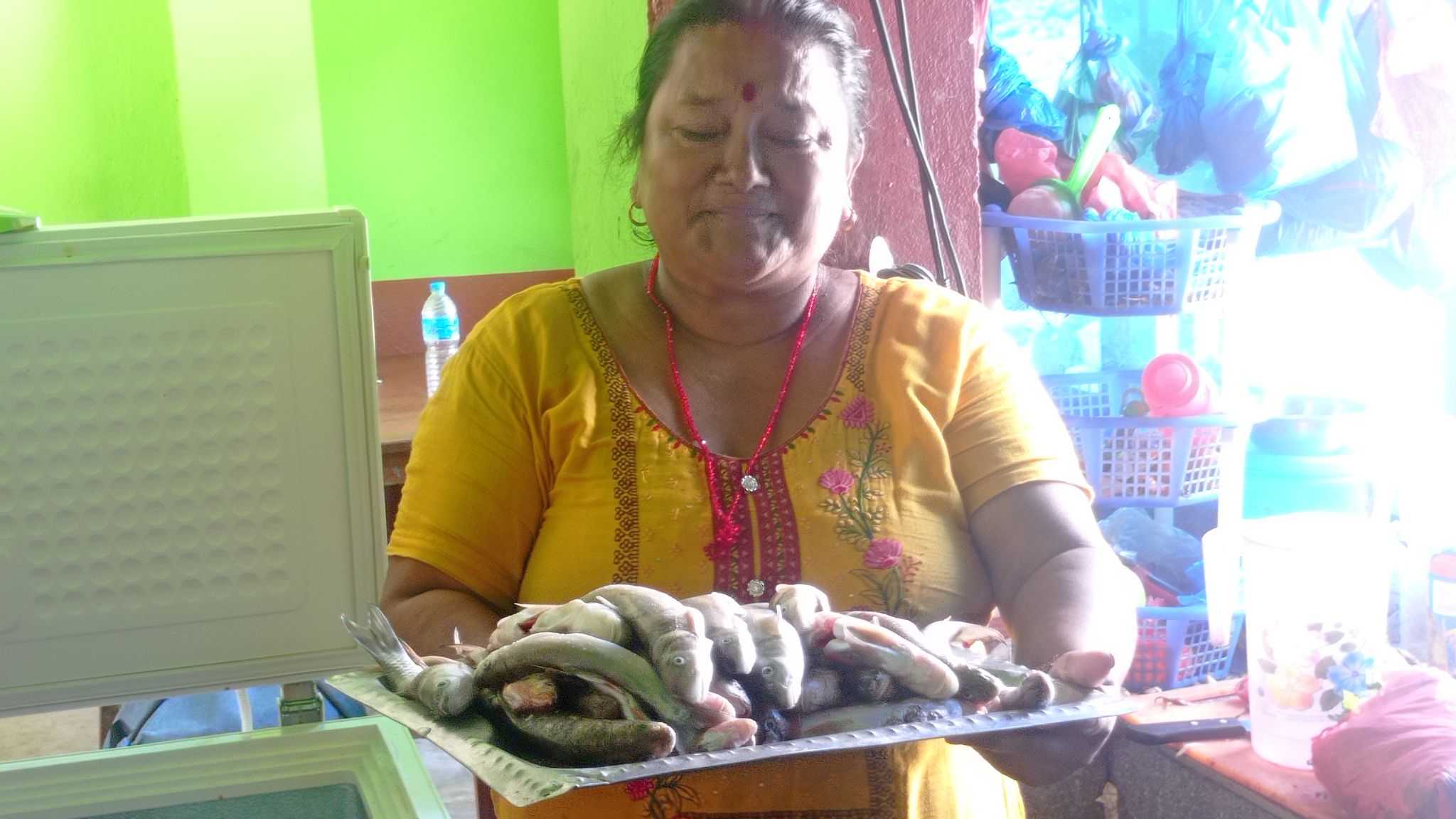 सिन्धुपाल्चोककाे बाढीपछि  मेलम्ची, इन्द्रावतीमा पाइन थाले माछा