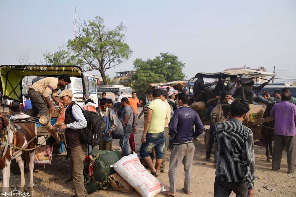 भारतमा रहेका नेपाली मतदानका लागि फर्किए