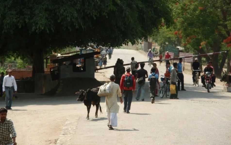 उम्मेदवार घरदैलोमा, युवा कामको खोजीमा भारत