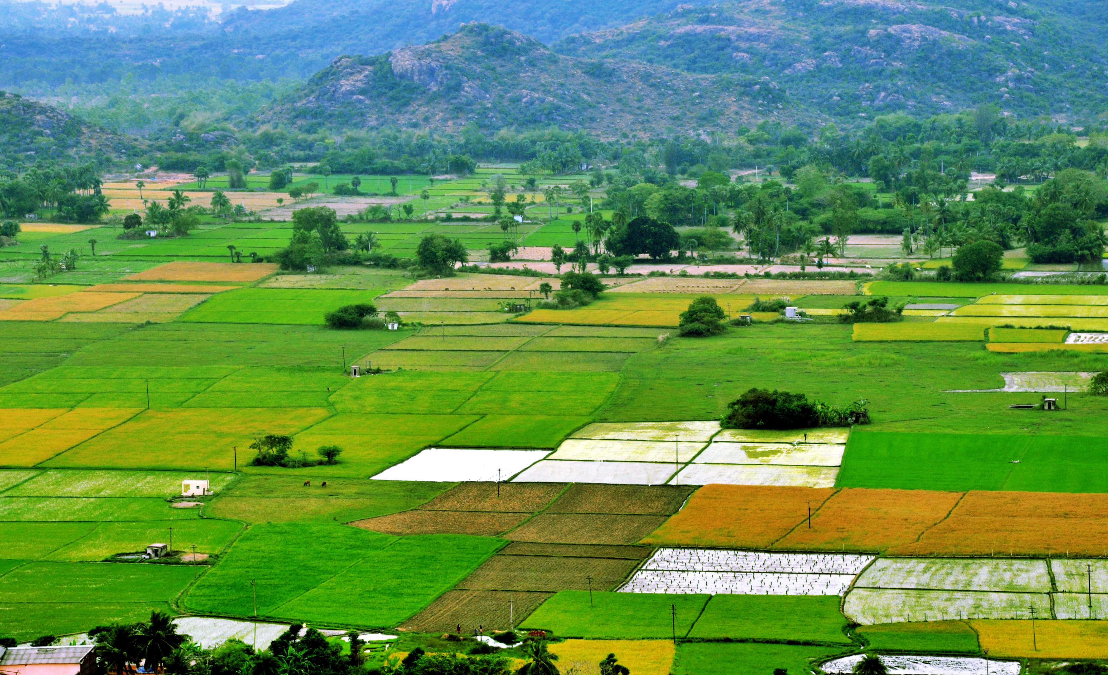 भारतमा घरजग्गा कारोबारमा उच्च वृद्धि