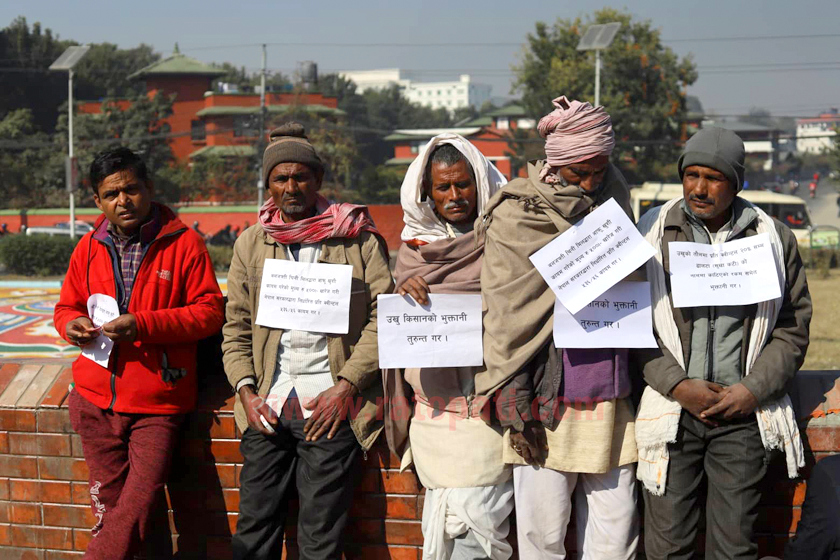 एक वर्षसम्म सम्झौता कार्यान्वयन नगरेको भन्दै उखु किसान आन्दोलन गर्न काठमाडौंमा 