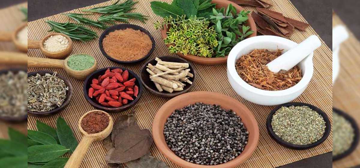 दोलखाबाट ८० हजार किलोभन्दा बढी जडीबुटी निकासी