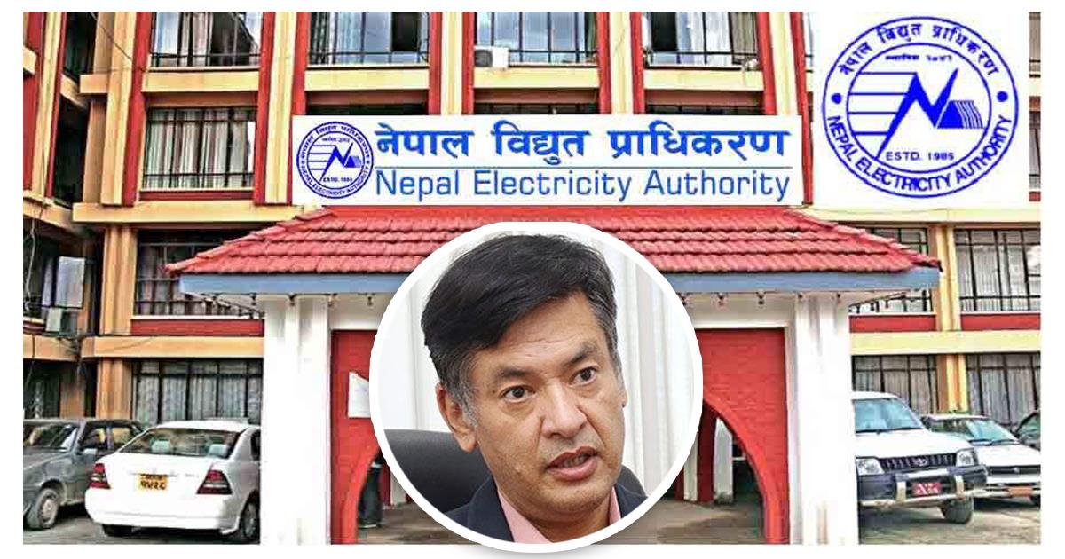 विद्युत प्राधिकरणको कार्यकारी निर्देशकमा हितेन्द्रदेव शाक्य