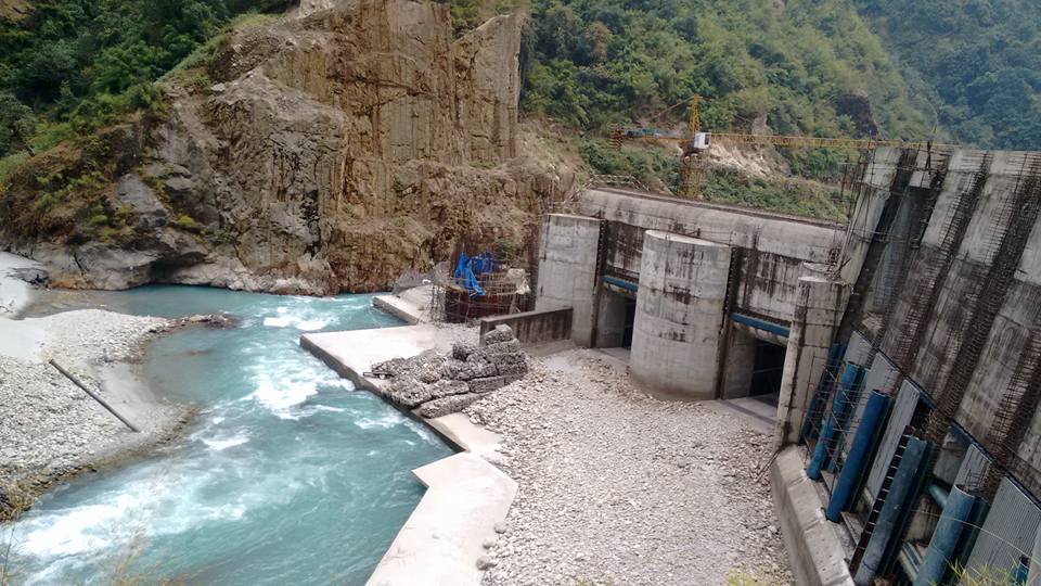 शिवश्री हाइड्रोपावरकाे सेयर मूल्यमा सकारात्मक सर्किट