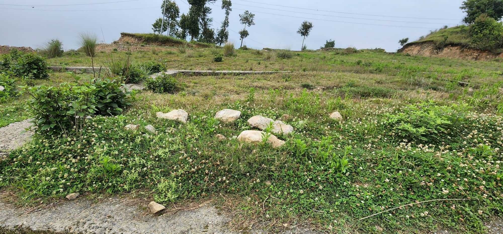 ३ आनाका टुक्रा जग्गाको मूल्य थप आकासिने, अब उप्रान्त ४ आना १ दामभन्दा कम कित्ताकाटमा राेक