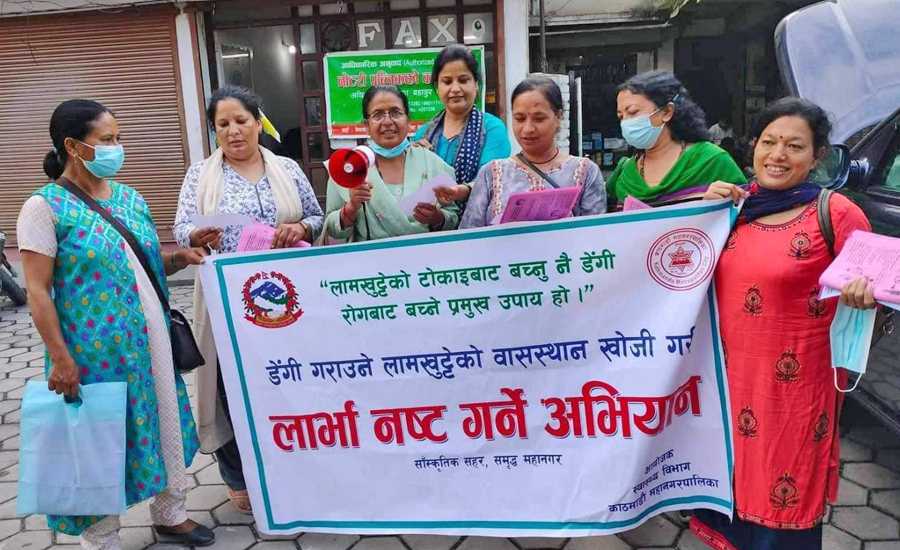 काठमाडौं महानगरकाे ३२ वटै वडामा ‘लार्भा खोज र नष्ट गर’ अभियान सुरू