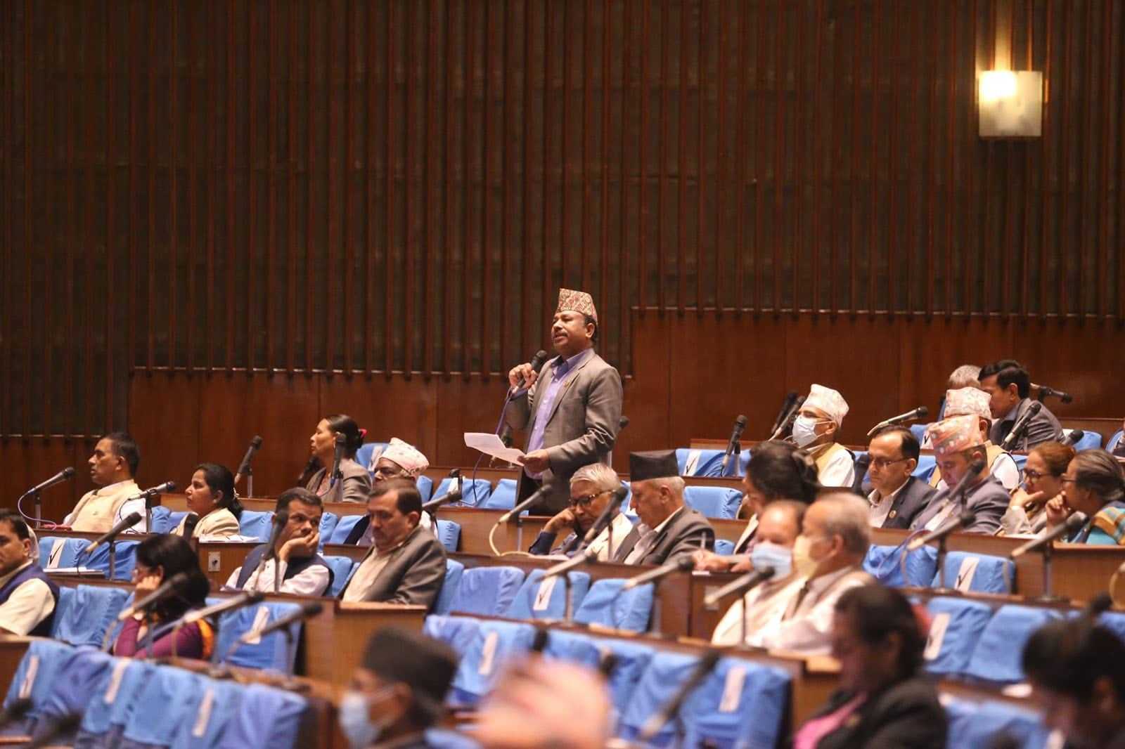 आर्थिक विधेयक बहुमतले पारित