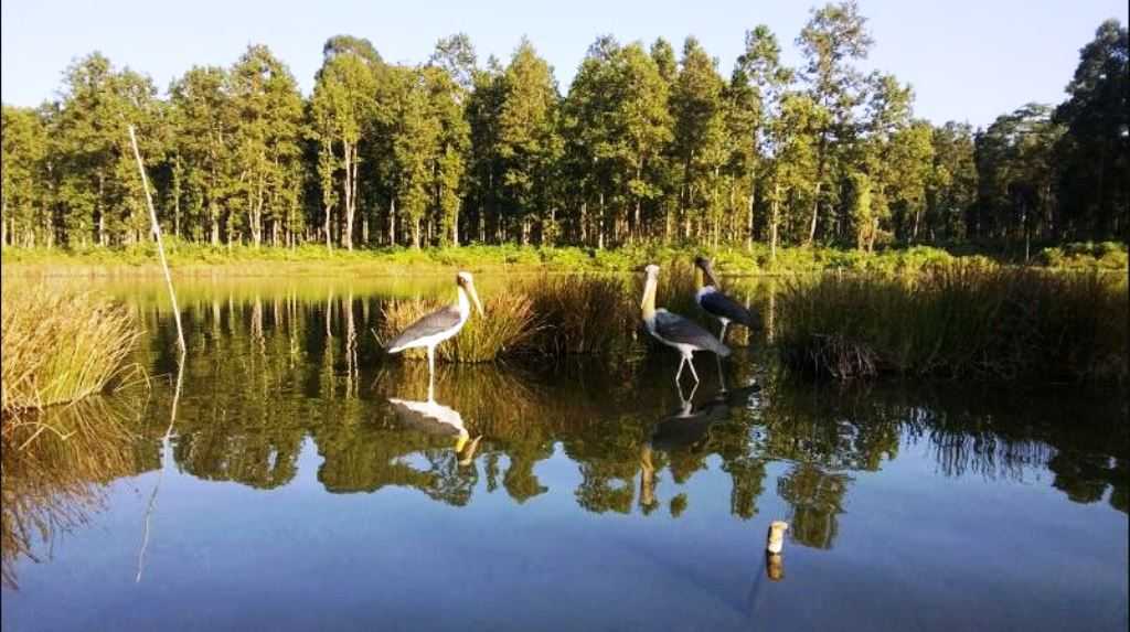 विश्व सिमसार दिवस : सिमसार क्षेत्र जोगाउन चुनौती