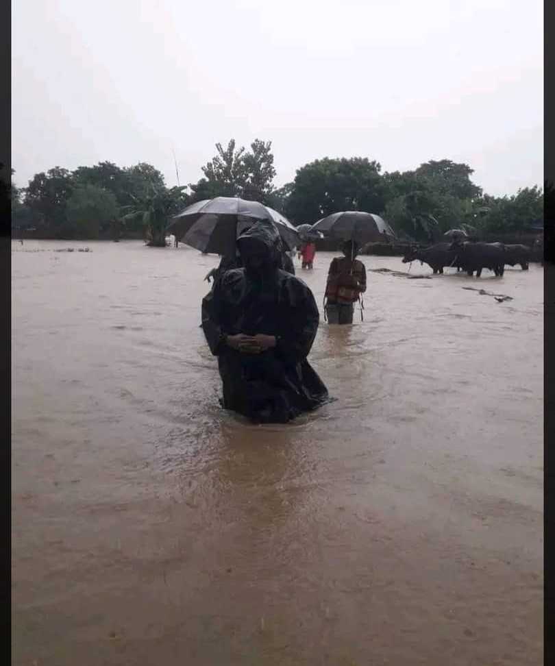 राप्तीको बाढीले तीन सयभन्दा बढी घर डुबायो
