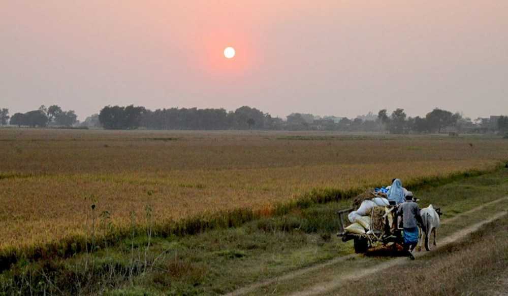 तराईमा ९.४२ प्रतिशतले महँगी बढ्यो