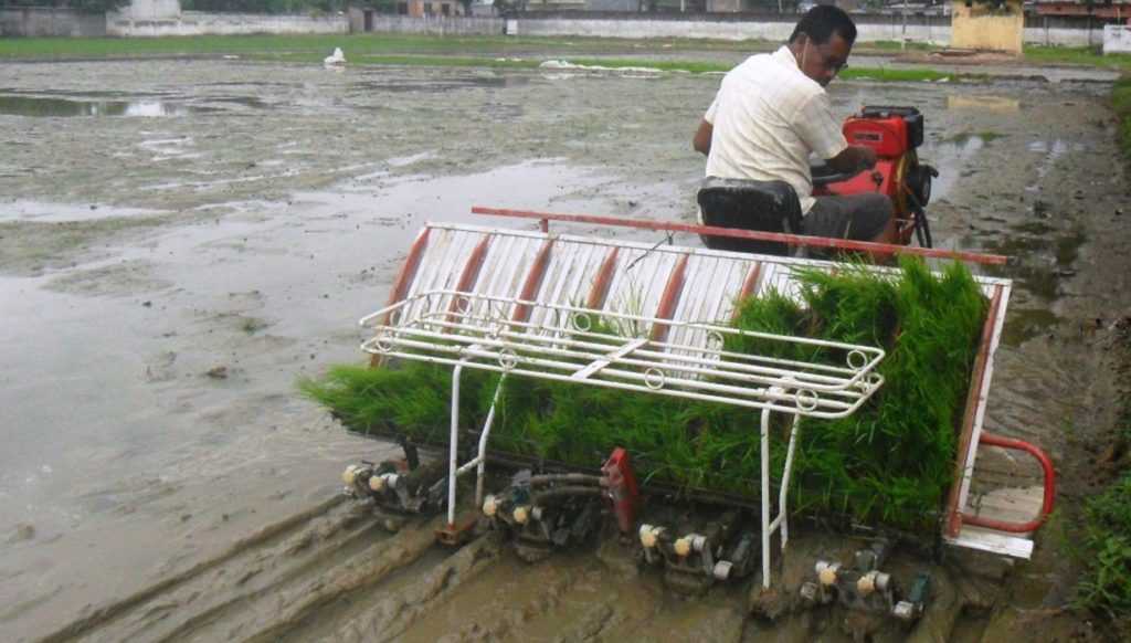 सुदूरपश्चिम प्रदेशमा पहिलोपटक भित्रियाे धान रोप्ने मेसिन 