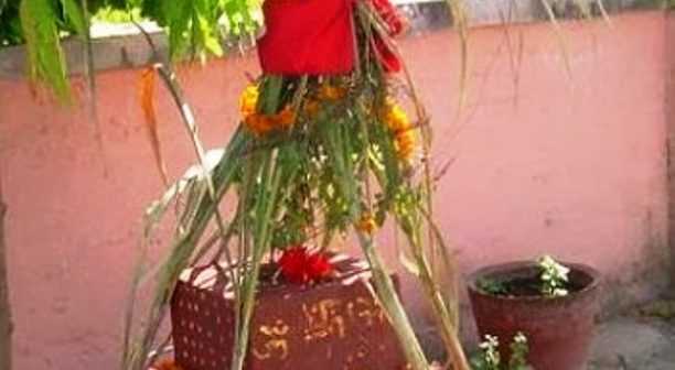 तुलसी र दामोदरको विवाह गरी हरिबोधिनी एकादशी पर्व मनाइँदै