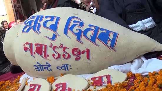 नेवार समुदायको मौलिक पर्व ‘यःमरी पुन्हि’,  मनाउँदै