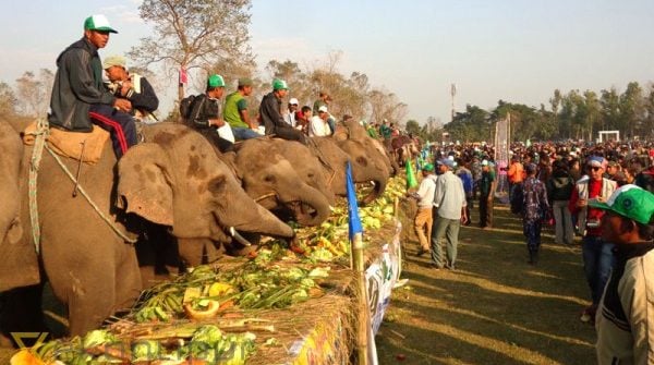 20234334435_sauraha-mahotsab-1703817570.jpg