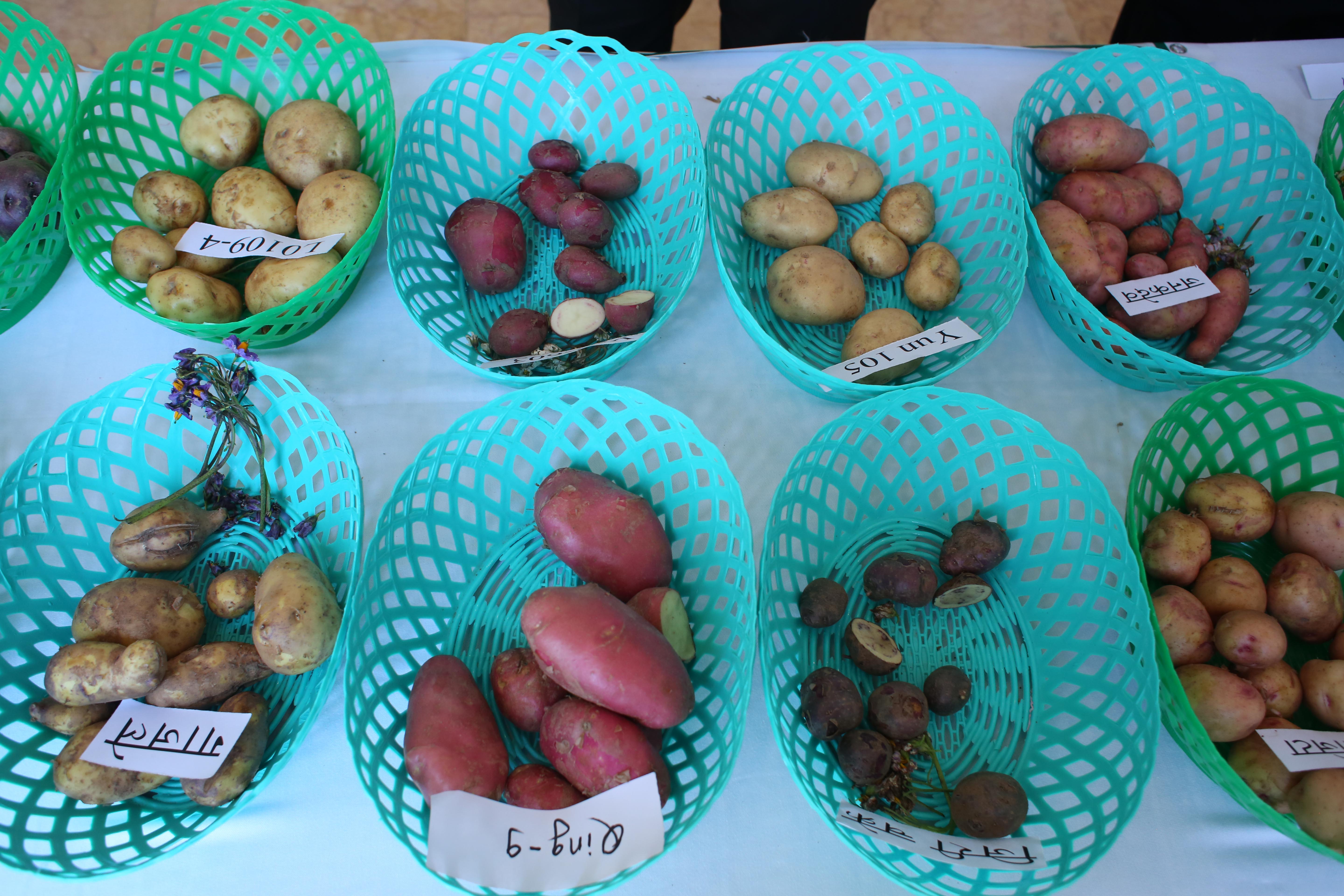 2nd-potato-summit-104-1748586048.jpg