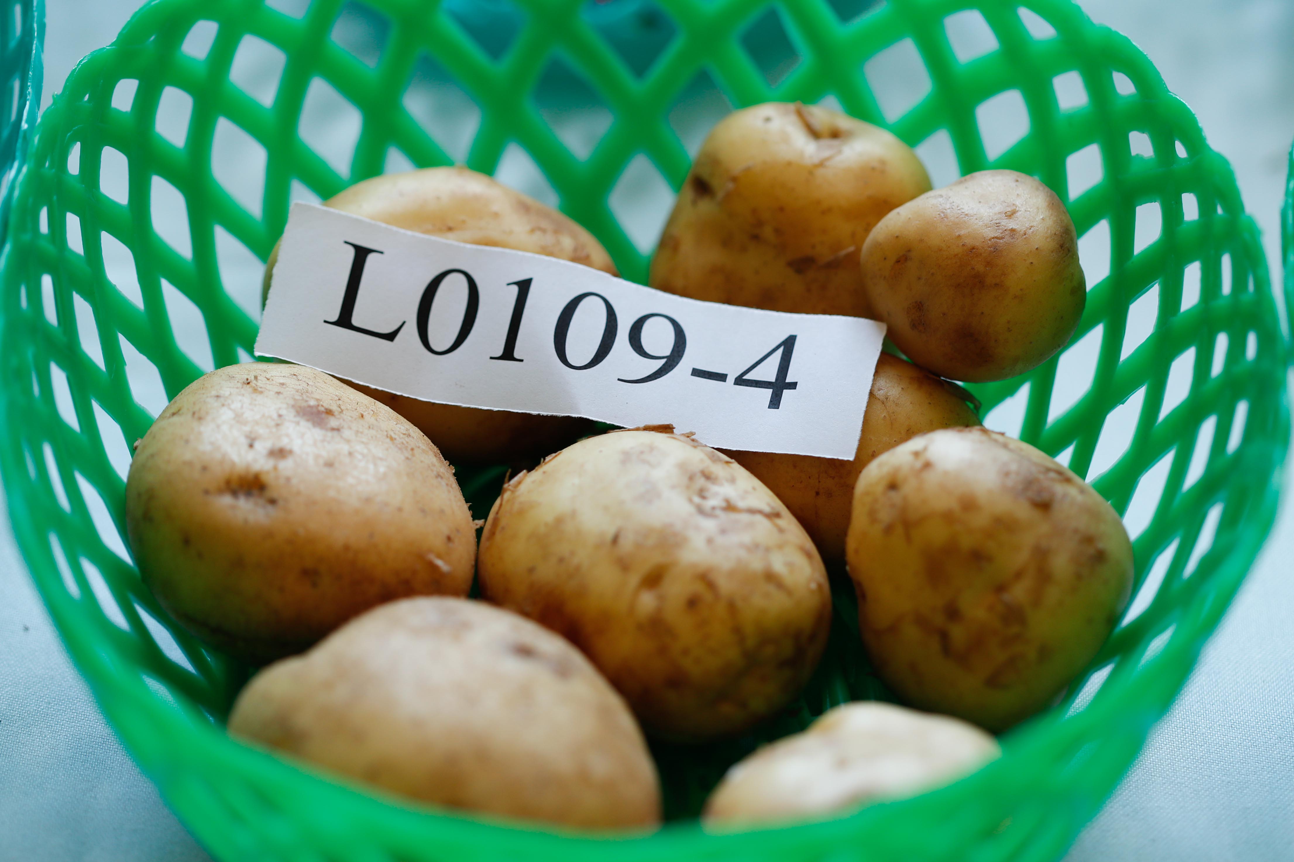 2nd-potato-summit-106-1748586054.jpg