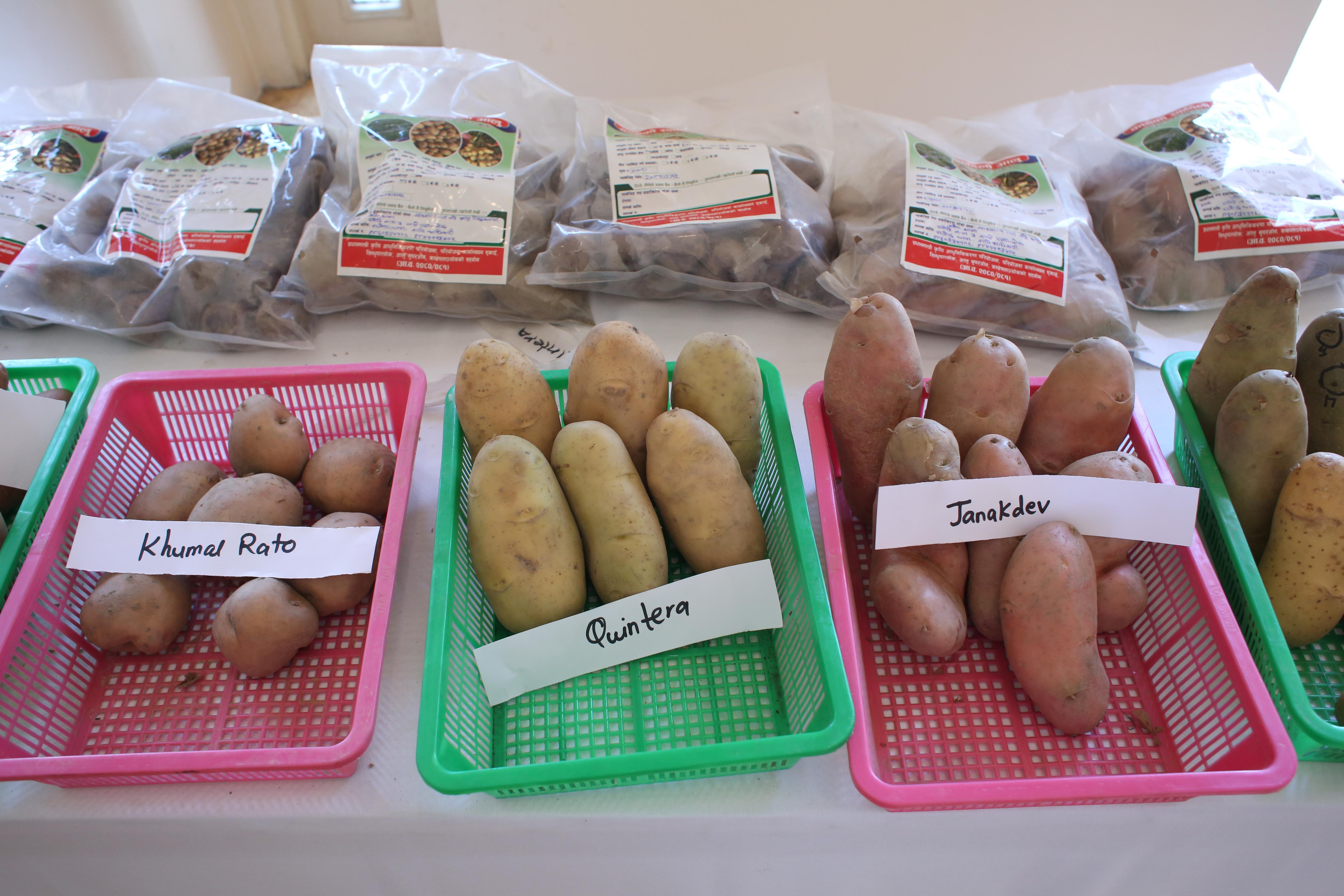 2nd-potato-summit-108-1748586057.jpg