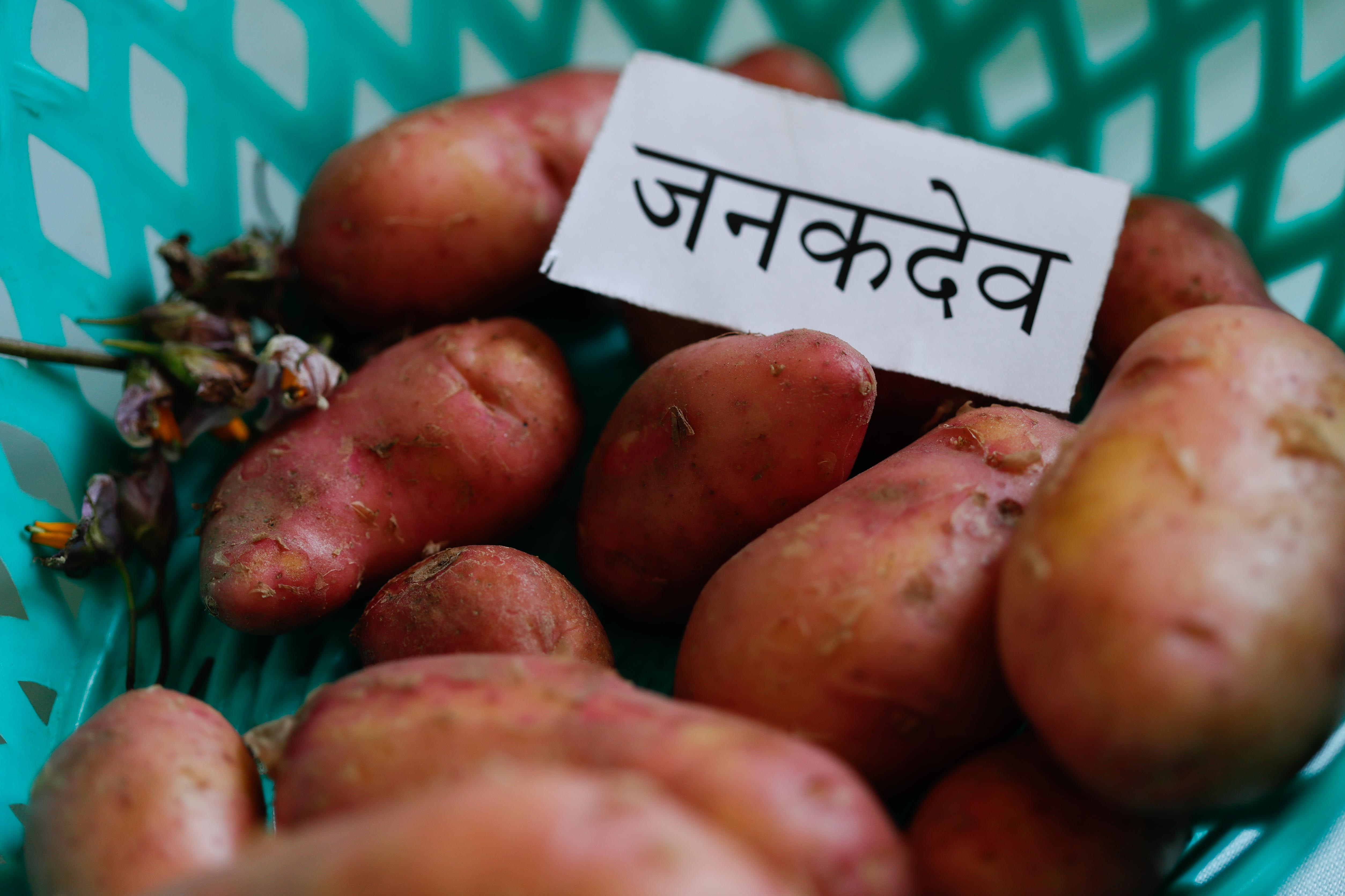 2nd-potato-summit-110-1748586061.jpg